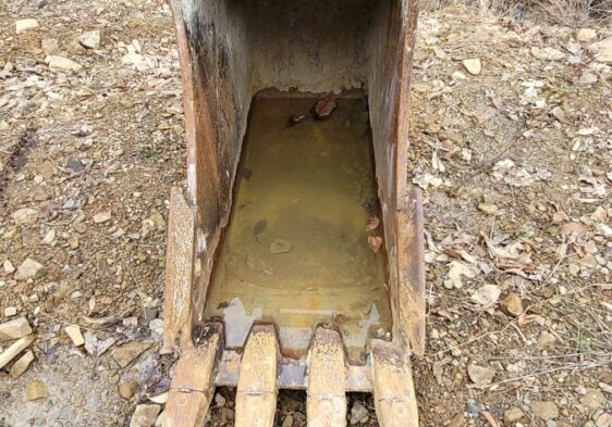 {{brizy_dc_image_alt entityId=